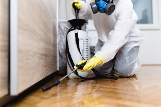 Best Spider Control Near Me  in Slidell, LA