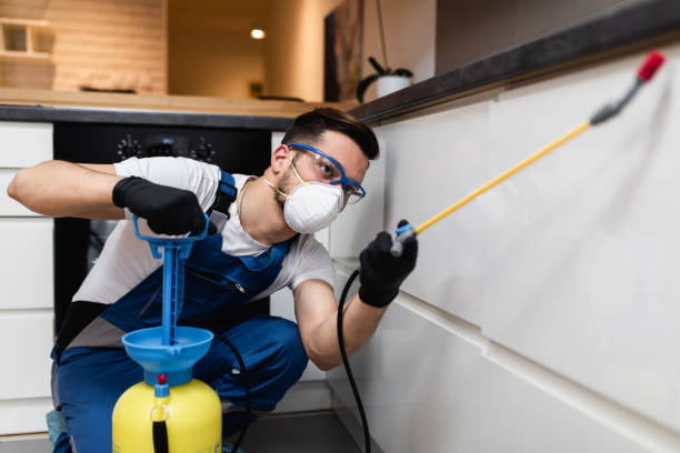 Best Mosquito Control Services  in Slidell, LA