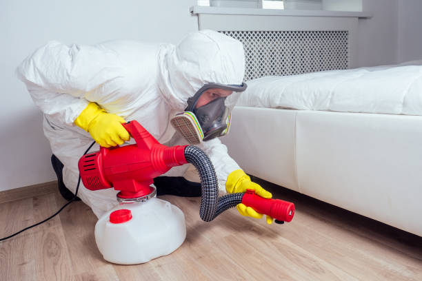 Best Affordable Pest Control Services  in Slidell, LA