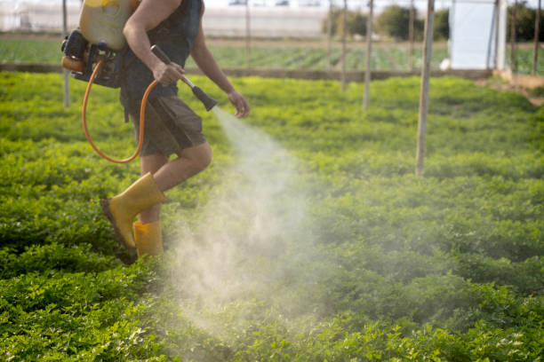 Best Residential Pest Control  in Slidell, LA