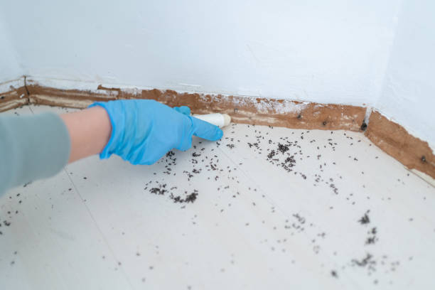 Best Commercial Pest Control Services  in Slidell, LA